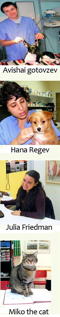 Veterinary assistants and the clinic cat at Emek Refaim