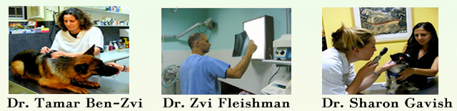Dr Tamar Ben-Zvi, Dr Zvi Fleishman and Dr Sharon Gavish at the clinic